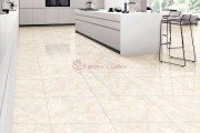 Gạch Ốp Lát APODIO 66282018